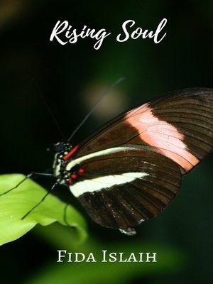 cover image of Rising Soul